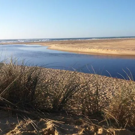 Villa de vacances sous les pins Hébergement de vacances