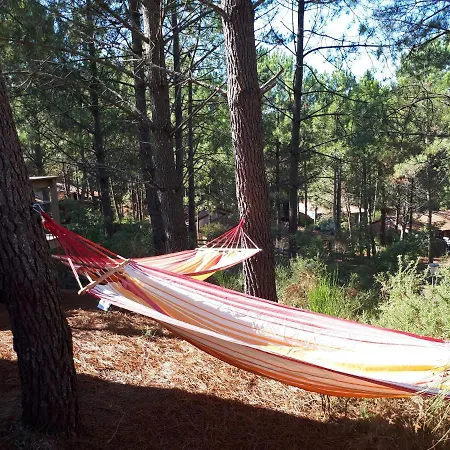 Hébergement de vacances Villa de vacances sous les pins